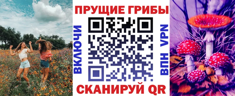 Купить закладки  Горбатов  Галлюциногенные грибы MAGIC MUSHROOMS 